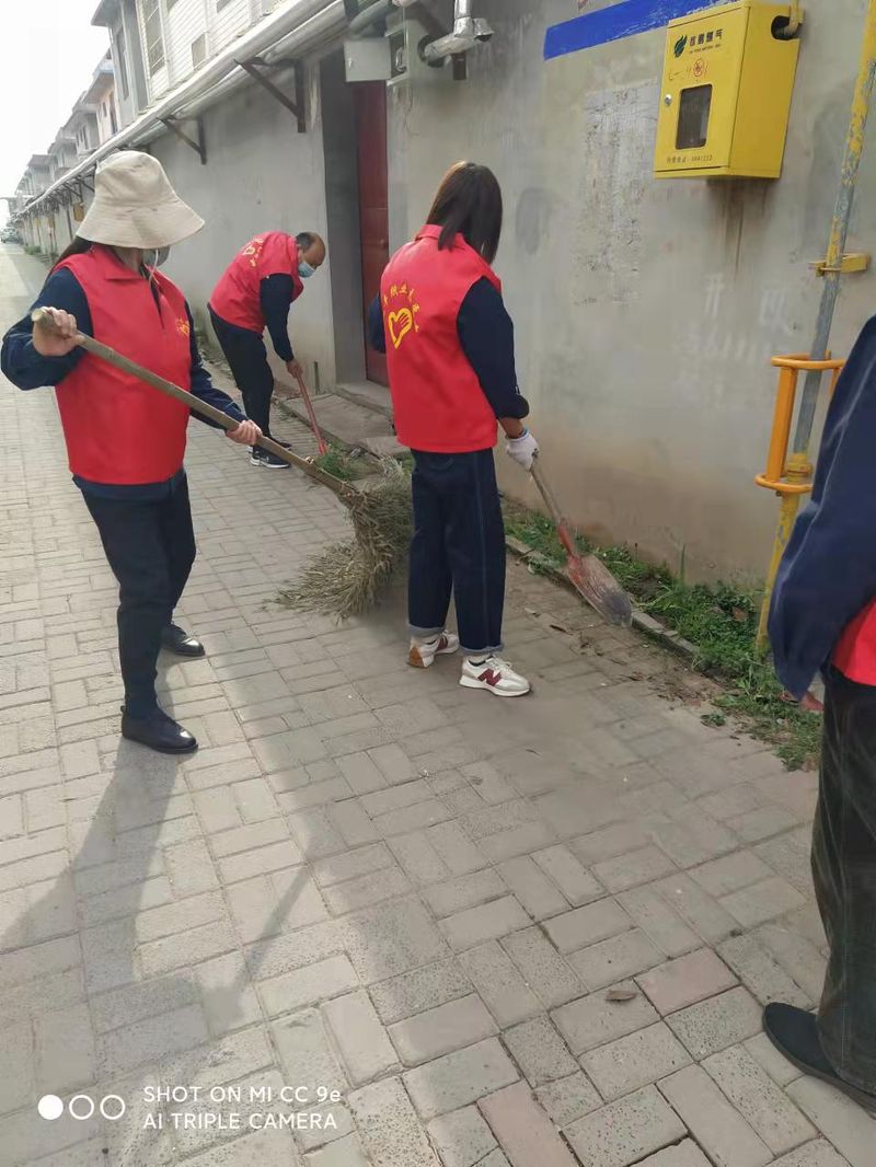 4987铁箕盘一线图库